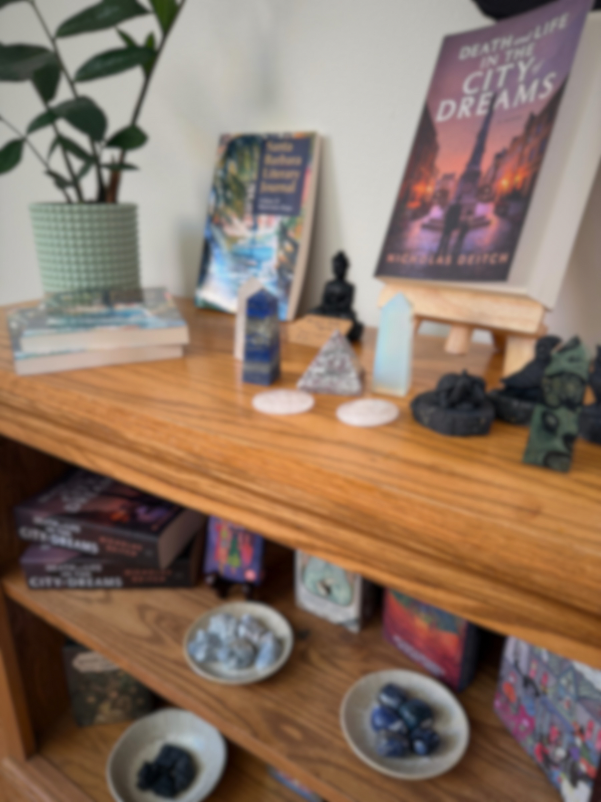 The Bookshelf