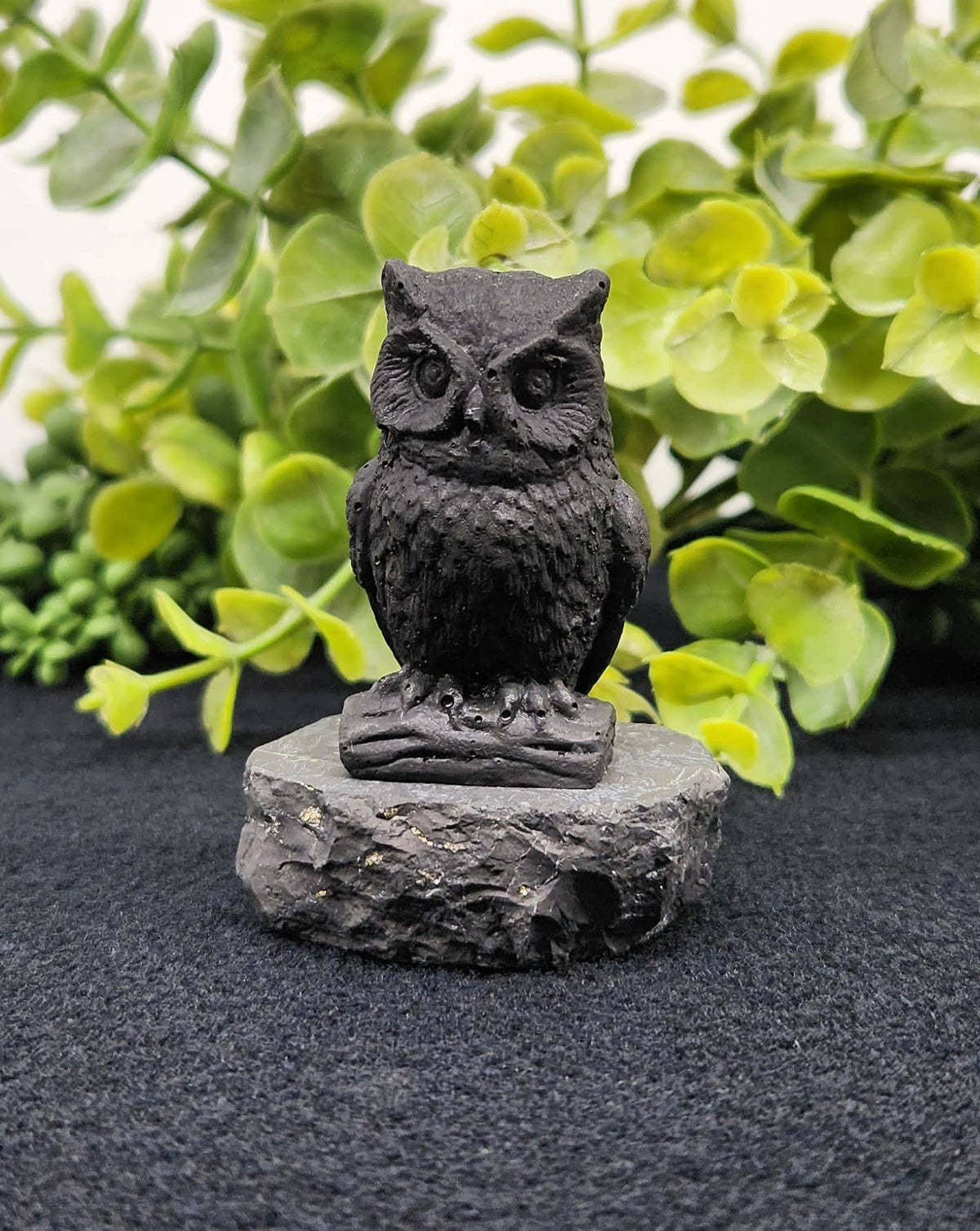 Shungite Owl Figurine (Facing Front)