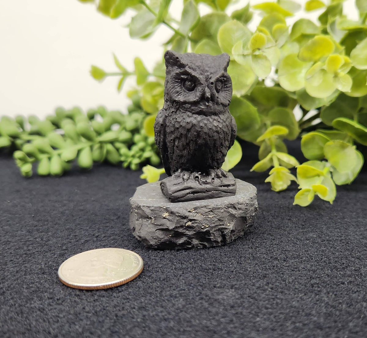 Shungite Owl Figurine (Facing Front)