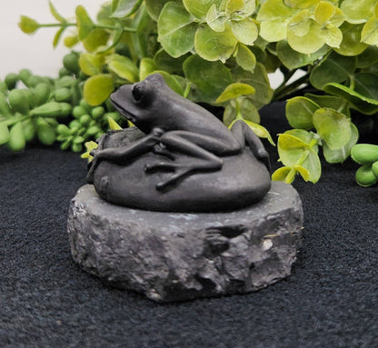 Shungite Frog Figurine
