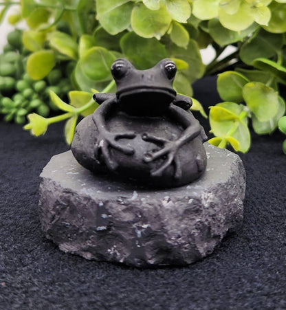 Shungite Frog Figurine