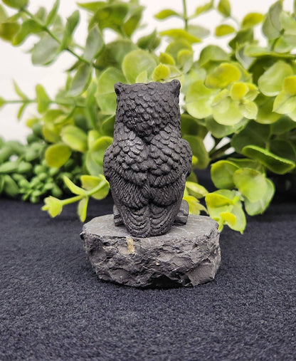 Shungite Owl Figurine (Facing Front)