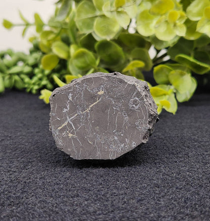 Shungite Owl Figurine (Facing Front)