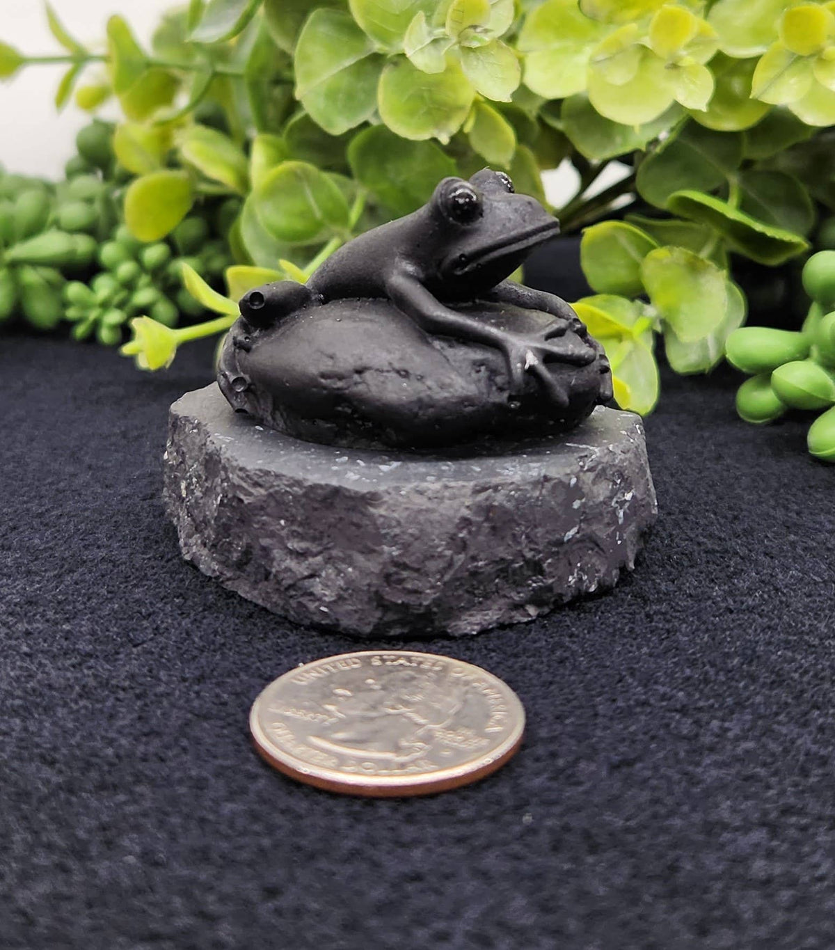 Shungite Frog Figurine