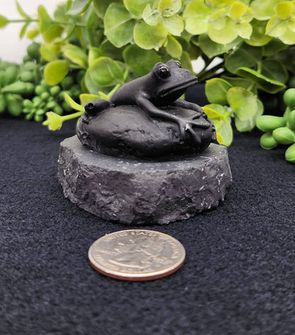 Shungite Frog Figurine
