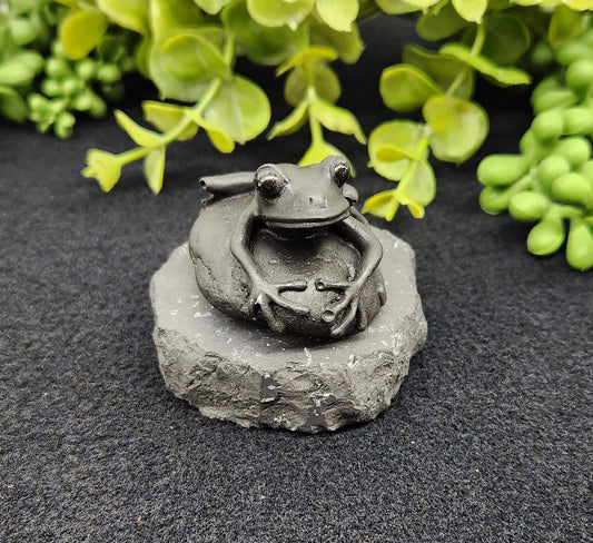Shungite Frog Figurine