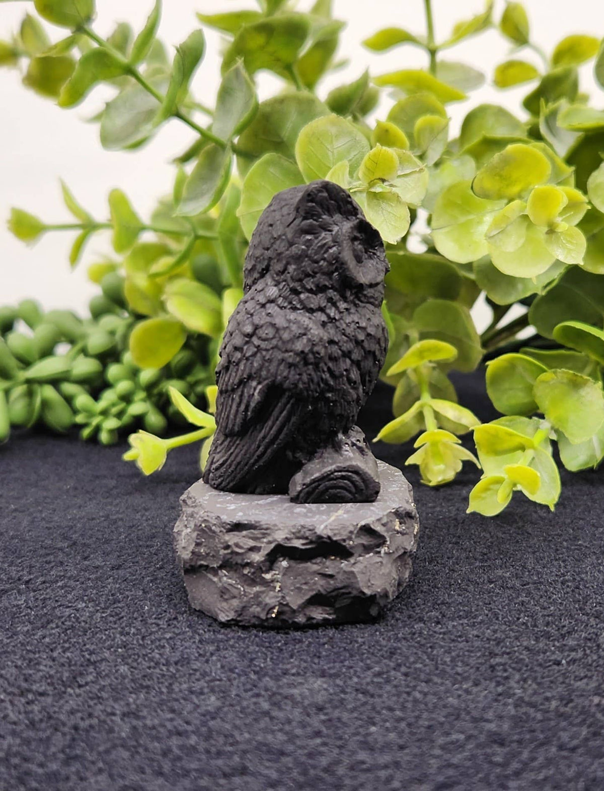 Shungite Owl Figurine (Facing Front)