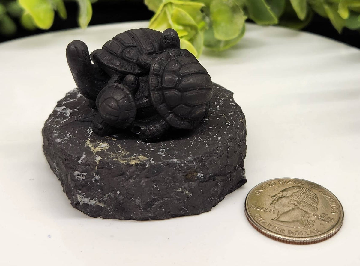 Shungite Turtle Family Figurine