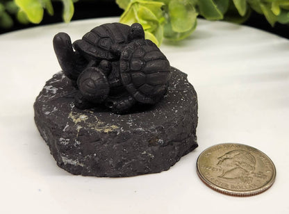 Shungite Turtle Family Figurine